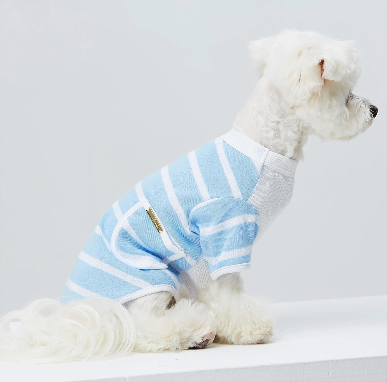 dogwear