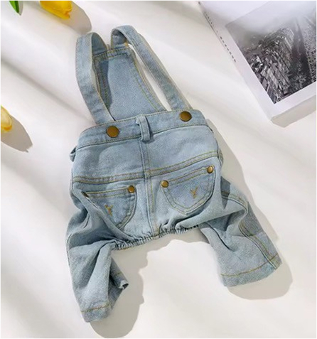 dogwear